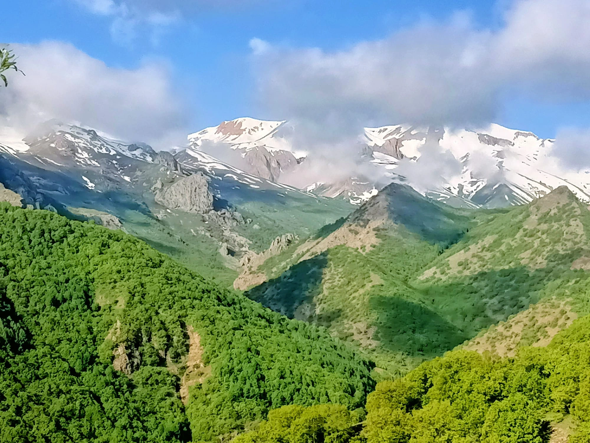 Karlı dağlara uzanan ormanlık sırtlar