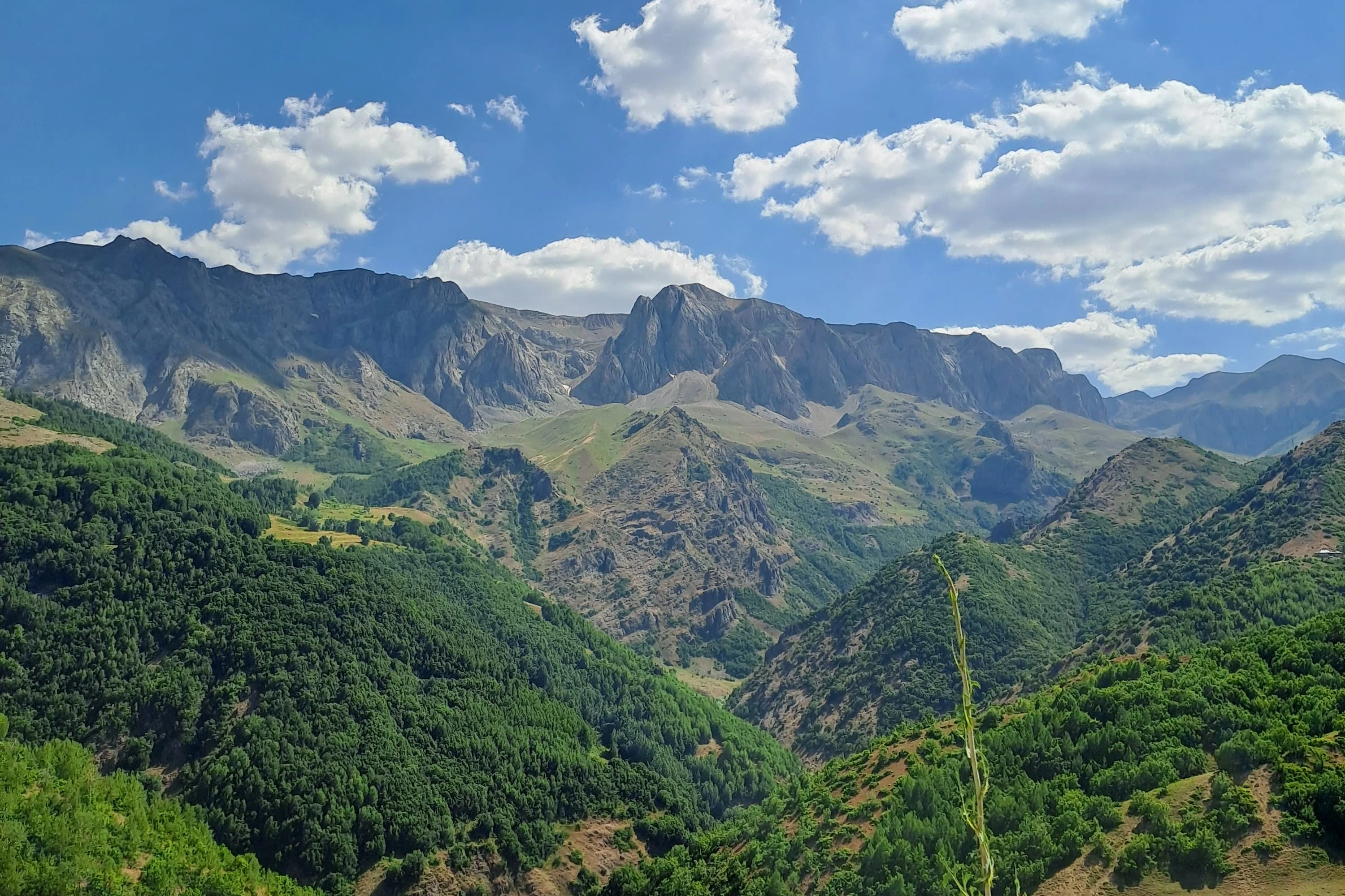 Mavi gökyüzü ve beyaz bulutlar altında yeşil vadi